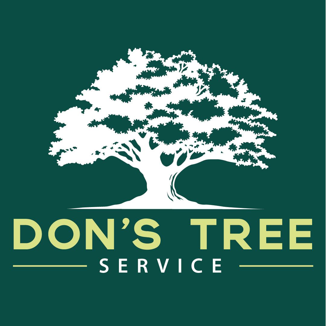 Gama Tree & Land Services DBA Don's Tree Service Gama Tree & Land Services DBA Don's Tree Service
